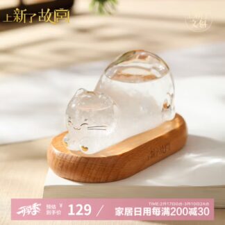 Test Product - 风暴瓶